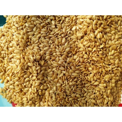 金亞麻籽榨油坊用廠家直銷25kg一件2件包郵