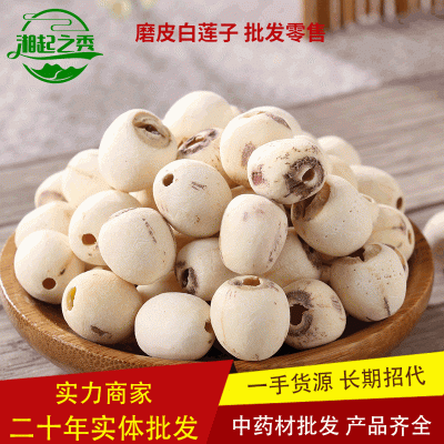 中藥材批發蓮子 湖南蓮子 去芯磨皮白蓮子 蓮米 湘蓮子批發可代發