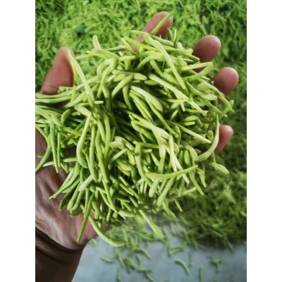 河南封丘帶絨毛金銀花正品二花金銀花散裝花草茶產地直銷廠家批發