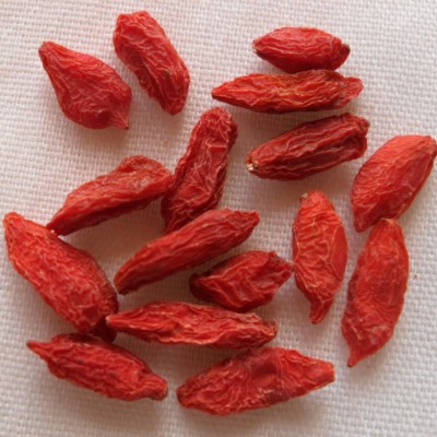 骨杞草】寧夏特產(chǎn)中寧枸杞子茶干果乙級中草藥批發(fā)測硫小粒原產(chǎn)地