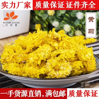 菊花茶 萬花堂批發供應散裝黃菊花黃山黃貢菊花草茶量大從優
