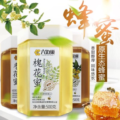 六邊巢蜂蜜槐花蜜棗花蜜枇杷蜜枸杞蜜椴樹雪蜜黑蜂蜜土蜂蜜500g