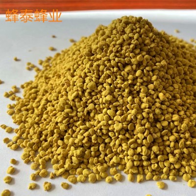 純油菜蜂花粉原粉顆粒非破壁青海油菜花粉大顆粒蜂花粉500g/瓶