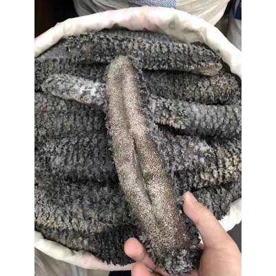 梅花參（海參，規格2-4頭，泡發2-3倍）