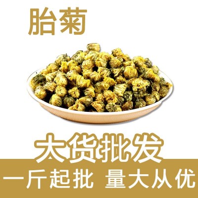 胎菊散裝批發 胎菊 桐鄉胎菊 菊花茶花草茶量大從優