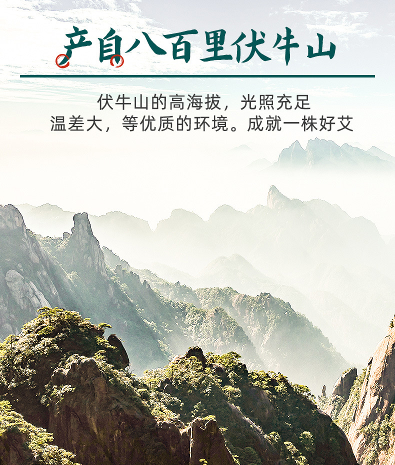普通詳情_05.jpg