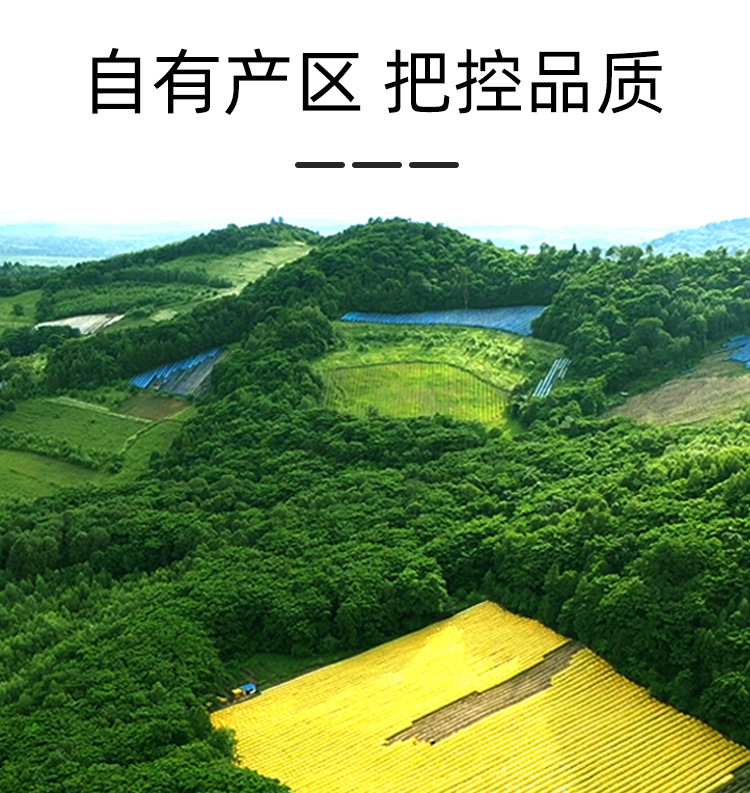 50g罐裝西洋參_05.jpg
