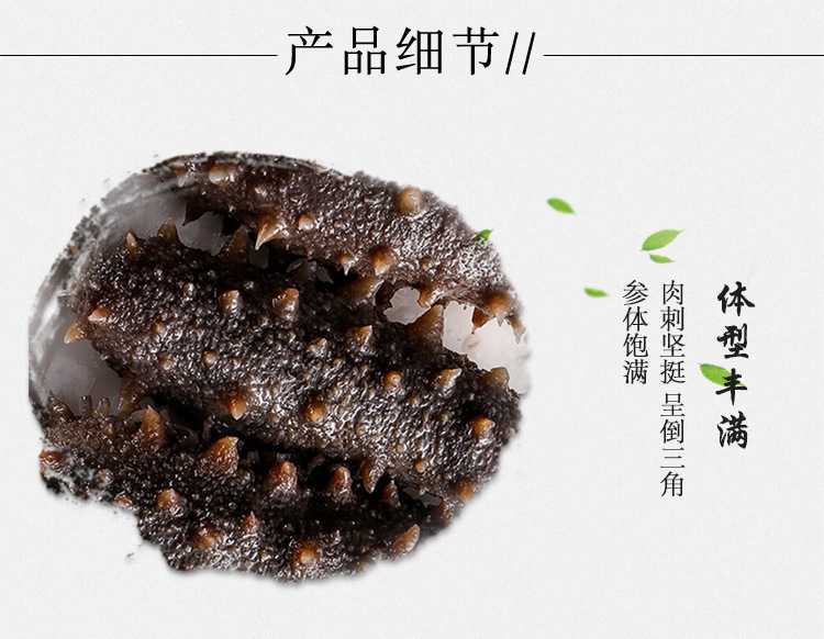 鍗抽嫻峰弬_05.jpg