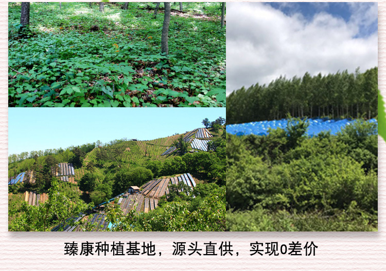 鍗抽嫻峰弬_04.jpg