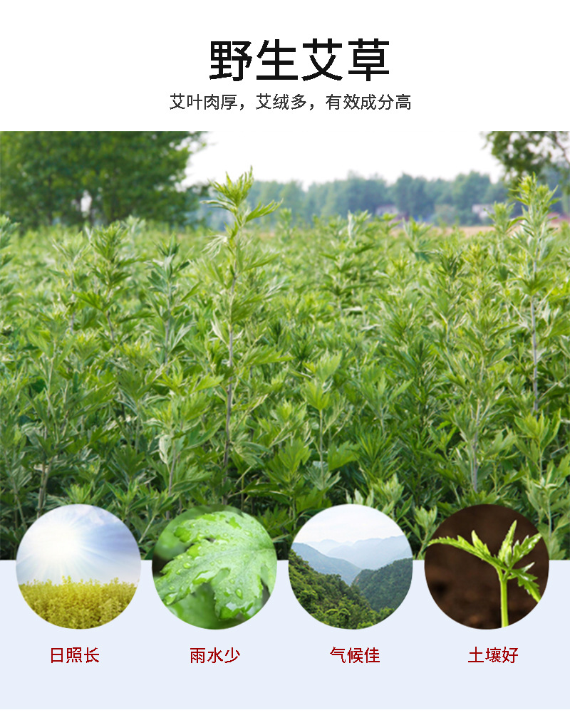 懸灸器_02.jpg