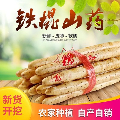 5斤包郵批發新鮮西施鐵棍山藥懷山藥食藥新鮮蔬菜產地直發全場