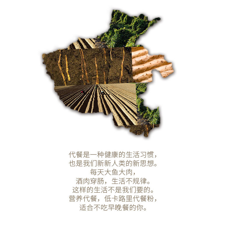 山藥粉-盒裝_03.jpg