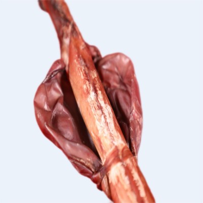 鹿鞭梅花鹿鹿鞭整只男性滋補泡酒料雙陽鹿鄉鹿鞭鹿鞭泡酒批發零售