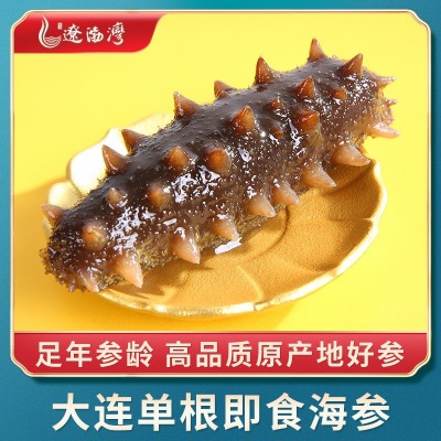遼渤灣大連刺參即食海參鮮食批發(fā)冷凍海鮮遼參禮盒非干貨