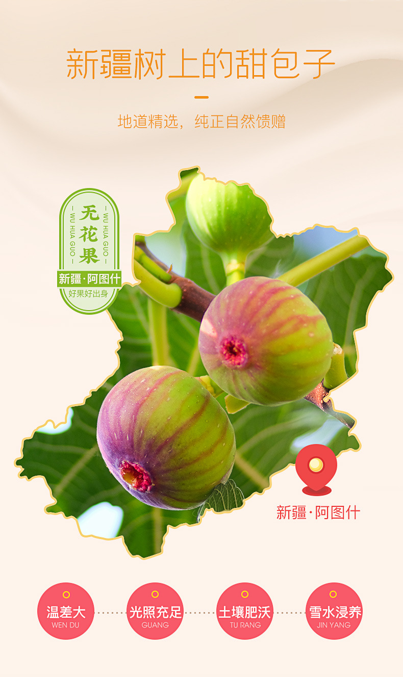 無花果詳情頁_04.jpg