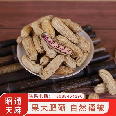云南廠家批發新貨七彩花生帶殼生花生曬干五彩花生零食養胃現貨
