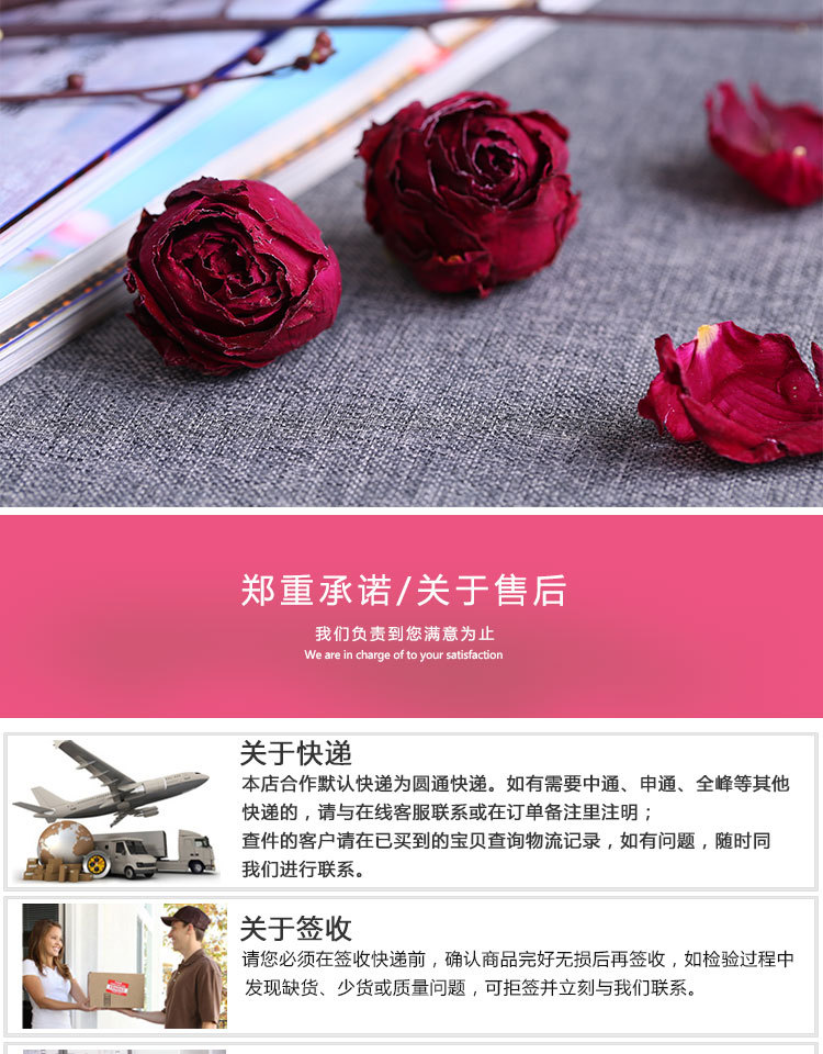 墨紅玫瑰_07