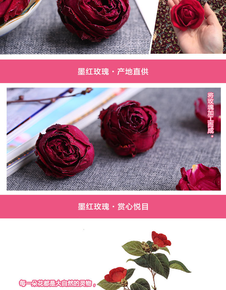墨紅玫瑰_03