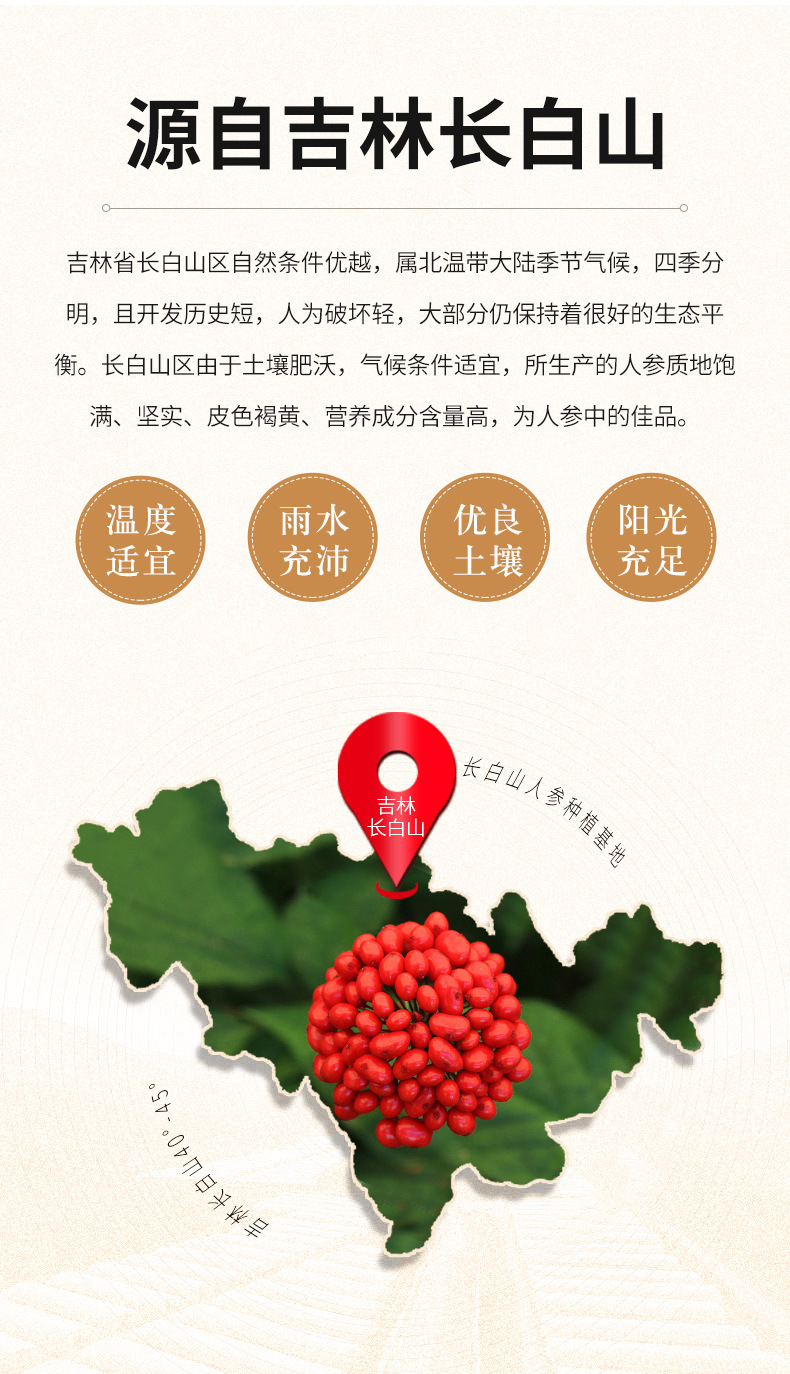 西洋參_02.jpg