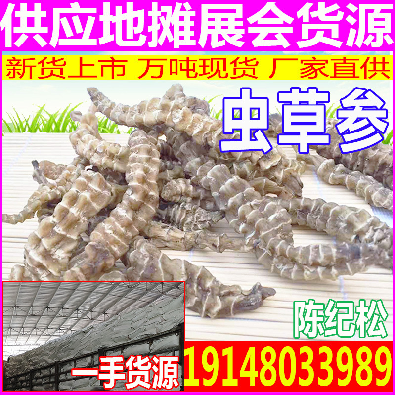 蟲草參(1)