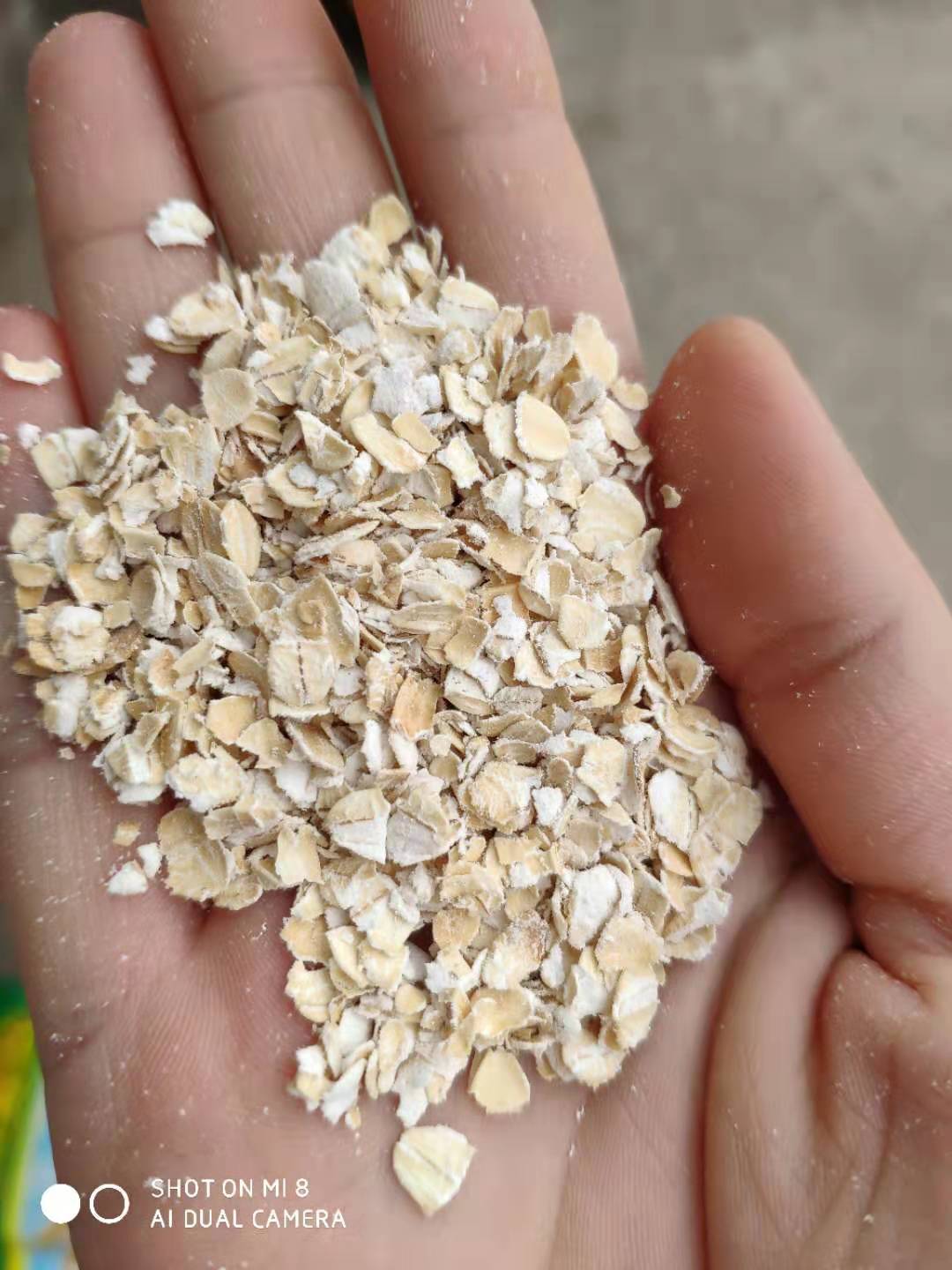 麥片 (2)