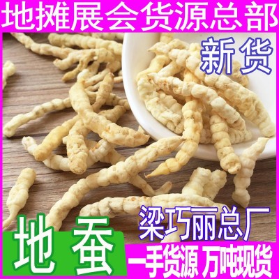 白蟲草 土冬蟲草 地石蠶地蠶 蟲草參地蟲草草石蠶地蠶產(chǎn)地直批