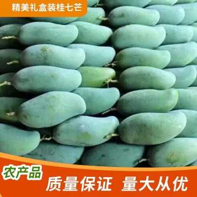 廣西百色桂七芒果新鮮當季熱帶水果青芒禮盒果園直發(fā)