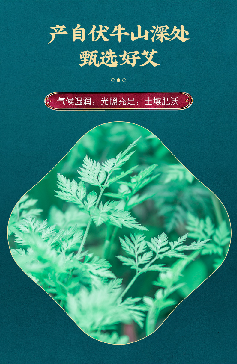艾灸貼詳情_04.jpg