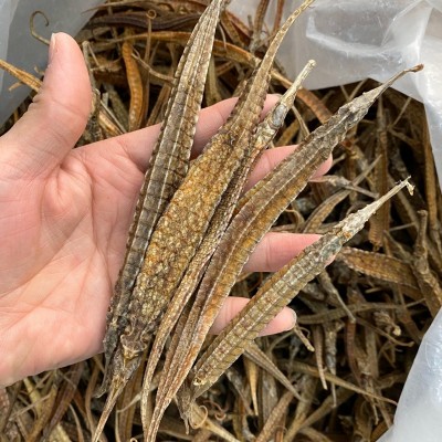 批發擬海龍三角海龍干貨統貨海產品泡酒養生材料煲湯料刁龍六角龍