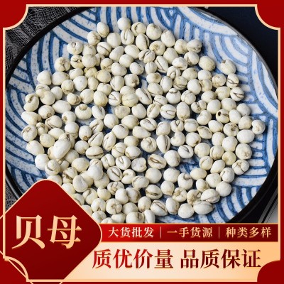 中藥材大貨貝母 川貝母平貝母規(guī)格齊全多樣產(chǎn)地直供批發(fā)零售代發(fā)