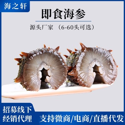 海之軒工廠大連即食海參批發(fā)遼刺參開袋即食 鮮食海參500g 非干參