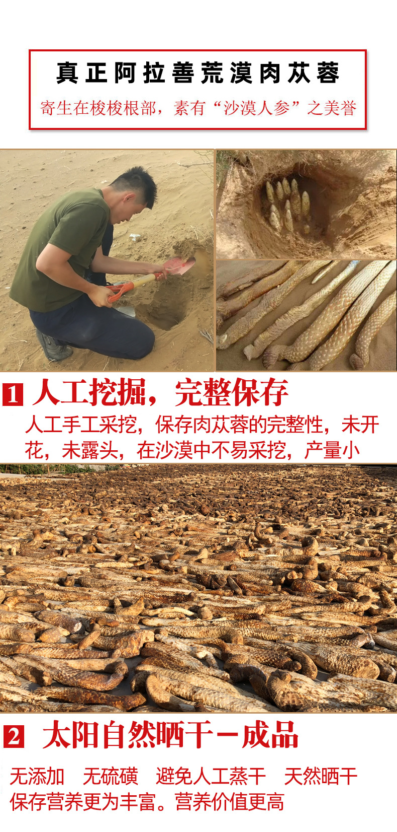 肉蓯蓉詳情頁已改字體-完整版_14.jpg