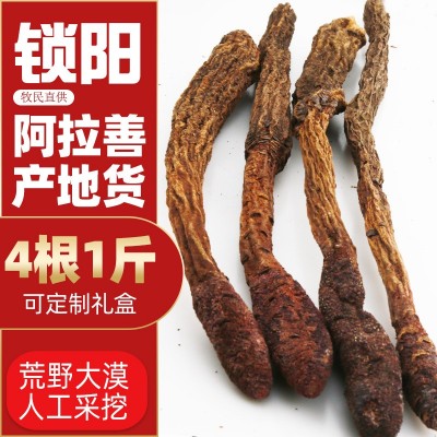 現(xiàn)貨批發(fā)內(nèi)蒙古阿拉善產(chǎn)地金鎖陽(yáng)燉肉泡酒滋補(bǔ)整根優(yōu)選鎖陽(yáng)4根1斤