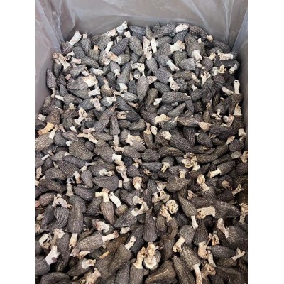 羊肚菌250克包郵批發(fā)干貨新鮮營養(yǎng)菌菇菇類