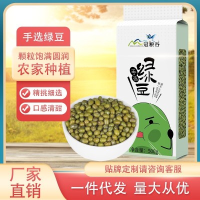 綠豆真空裝新鮮農家綠豆糧油顆粒飽滿肉多皮薄五谷雜糧批發500g