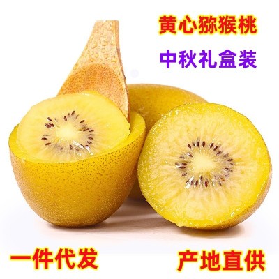 現(xiàn)貨 一件代發(fā) 四川蒲江黃心獼猴桃奇異果當(dāng)季時(shí)令新鮮現(xiàn)摘水果