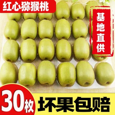 蒲江紅心獼猴桃30個當(dāng)季新鮮純甜水果現(xiàn)摘泥猴桃奇異果彌獼猴大果