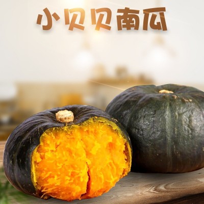 山東貝貝小南瓜代發(fā)5斤禮盒粉糯寶寶輔食板栗味吊瓜應(yīng)季新鮮蔬菜