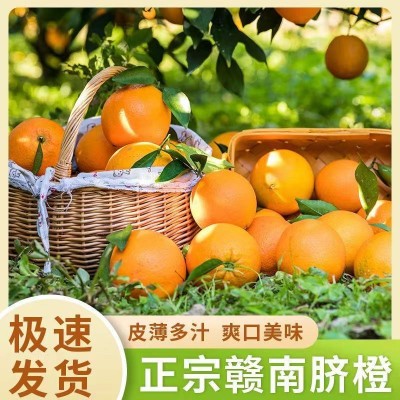 豐泉鮮果 正宗贛南臍橙當(dāng)季應(yīng)季新鮮水果整箱一件代發(fā)現(xiàn)貨