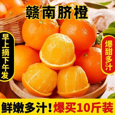 豐泉鮮果 正宗江西贛南臍橙橙子10斤新鮮水果當(dāng)季整箱贛州產(chǎn)地直