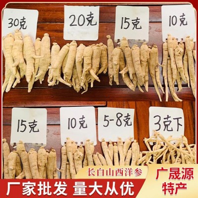 東北特產 長白山西洋參條藥材西洋參段人參產地批發西洋參段