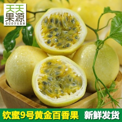產(chǎn)地貨源廣西黃金百香果5斤裝雞蛋果西番蓮當(dāng)季水果批發(fā)欽蜜9號