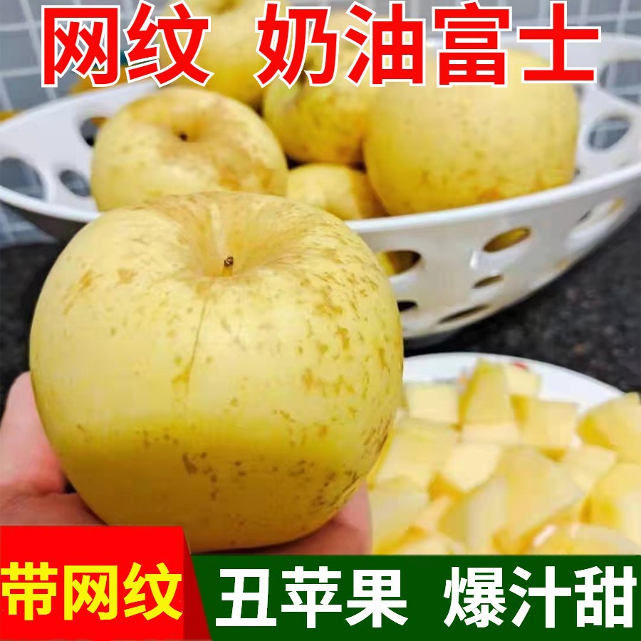 555標題-1 (3)