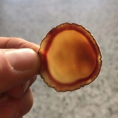 文禹 鹿茸臘片 鹿場基地 高質量產品 長期銷售全國發貨 泡酒煲湯