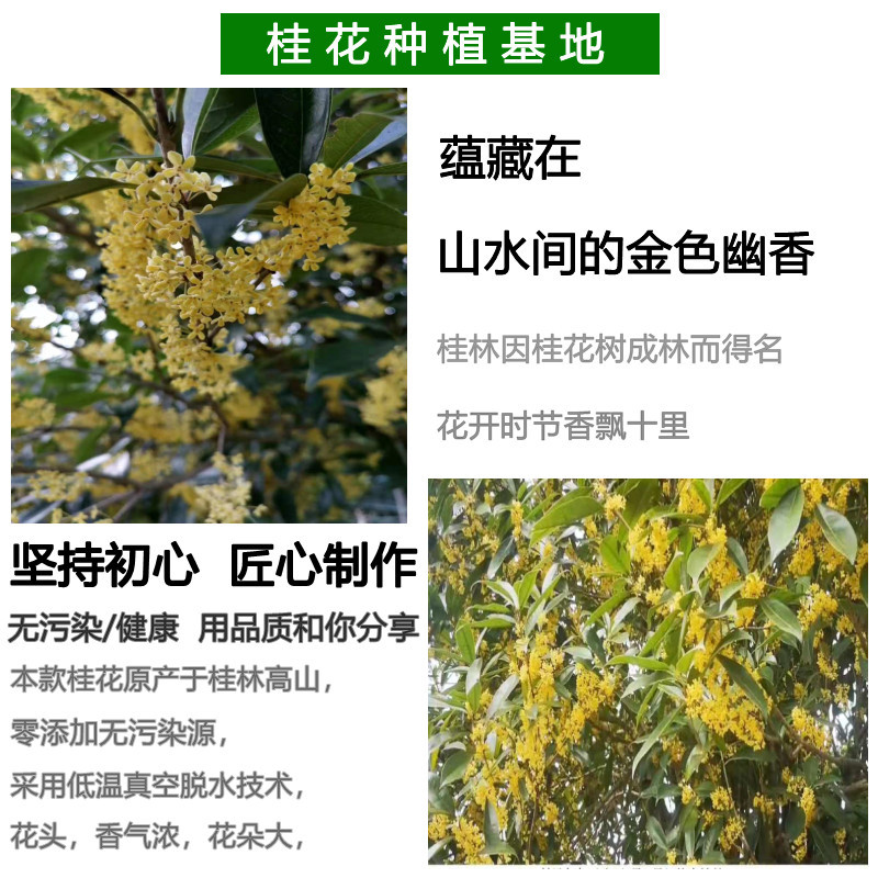 未命名_副本成品