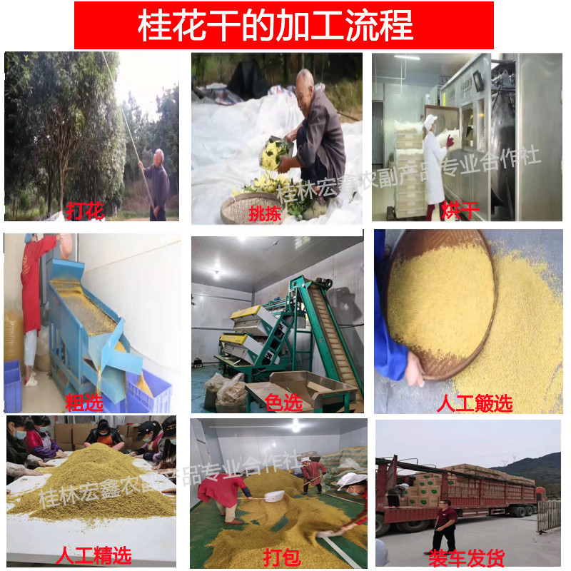 22號成品