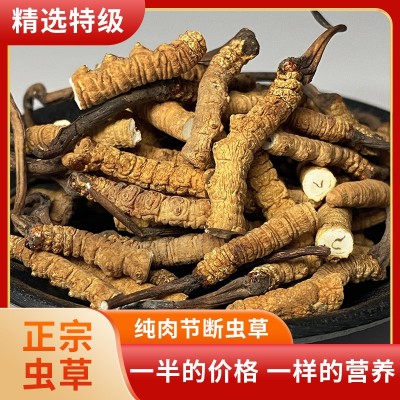 正宗斷草禮罐裝西藏那曲冬蟲夏草冬蟲草斷蟲草大量批發(fā)干貨送禮