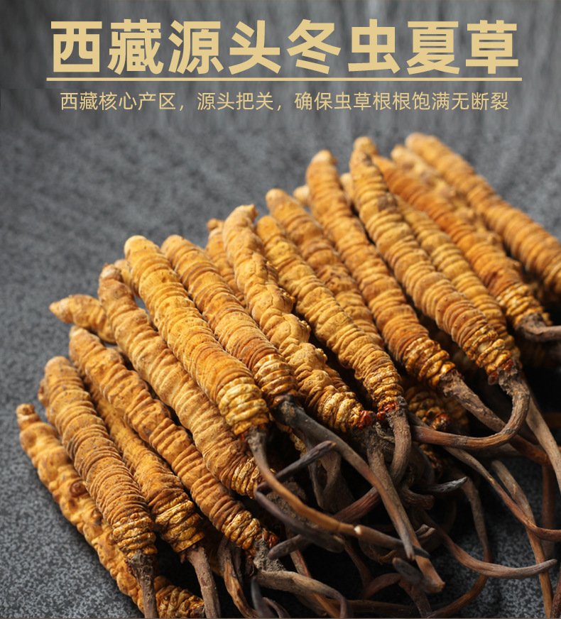 整改蟲(chóng)草詳情_(kāi)03.jpg