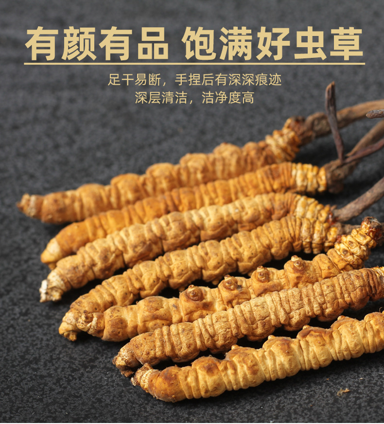 整改蟲(chóng)草詳情_(kāi)04.jpg