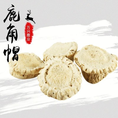 東北特產(chǎn)鹿角帽 鹿角粉角帽粉梅花鹿托盤粉現(xiàn)貨批發(fā)